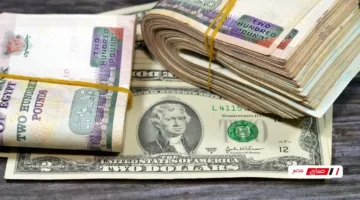 زيادة جديدة.. سعر الدولار في البنك الأهلي المصري يتخطى مستويات العملات العربية